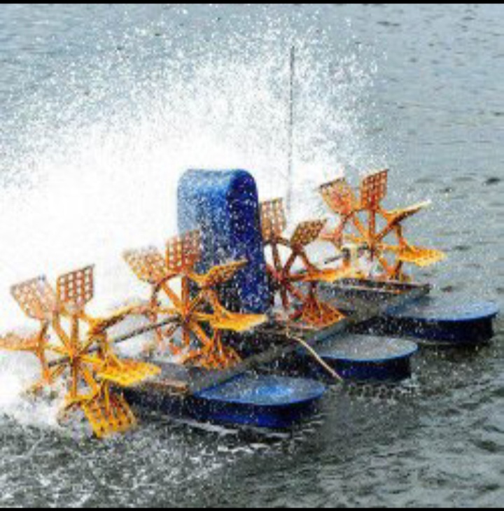 Paddle Wheeler Aerator