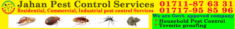 Jahan Pest Control Service