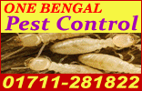 One Bengal Pest Control